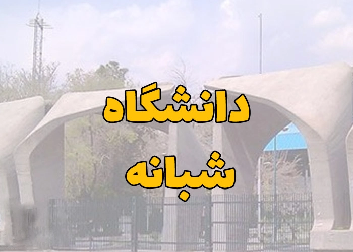 دانشگاه شبانه